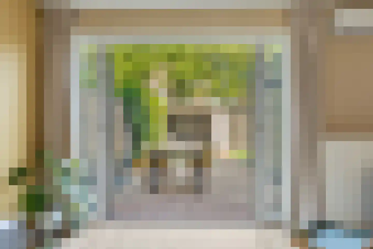 Dominicanenstraat 18 Huissen thumbnail 4