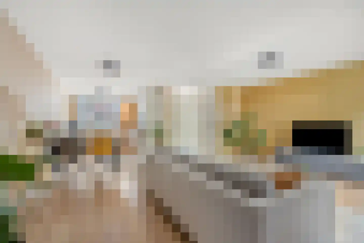 Dominicanenstraat 18 Huissen thumbnail 9