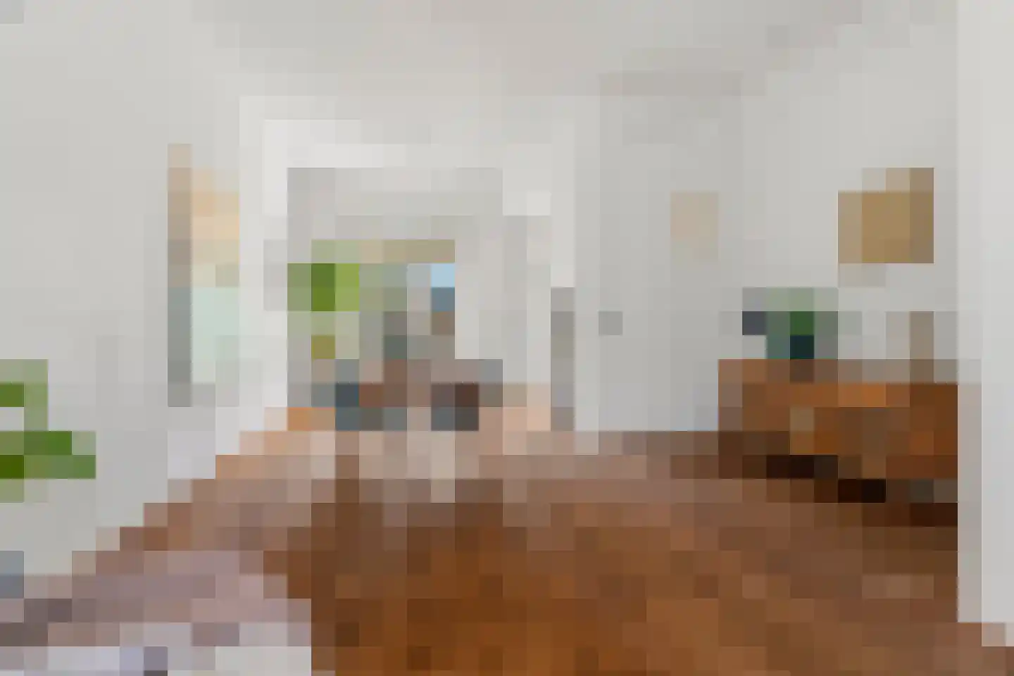 Dominicanenstraat 30 Nijmegen thumbnail 13