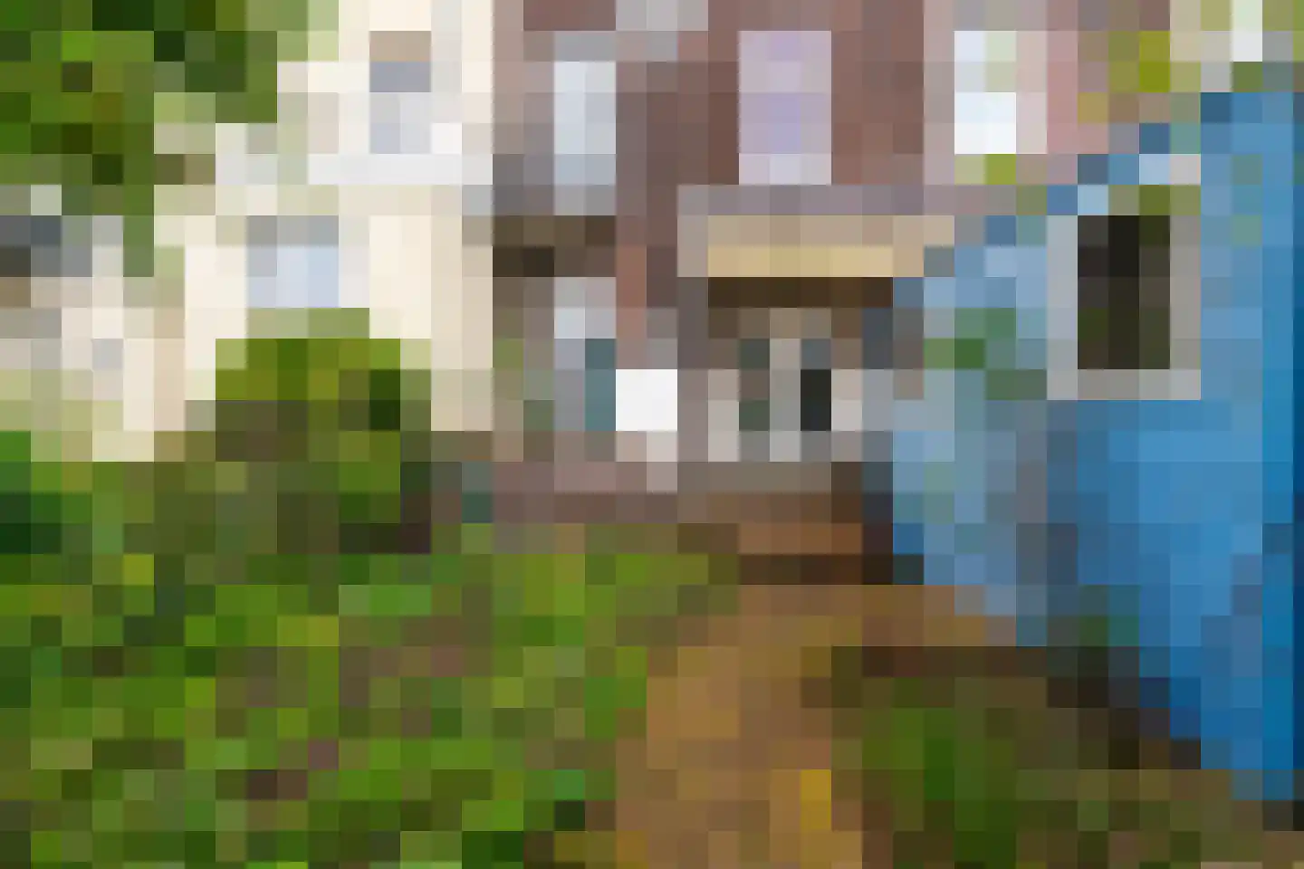 Dominicanenstraat 30 Nijmegen thumbnail 36