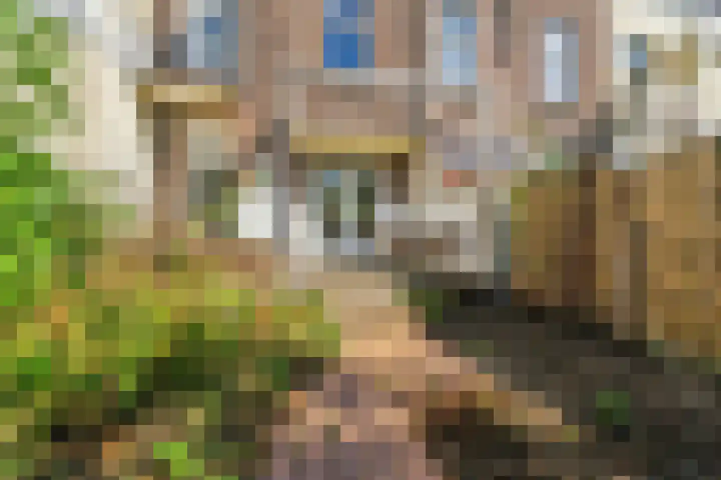 Dominicanenstraat 30 Nijmegen thumbnail 43