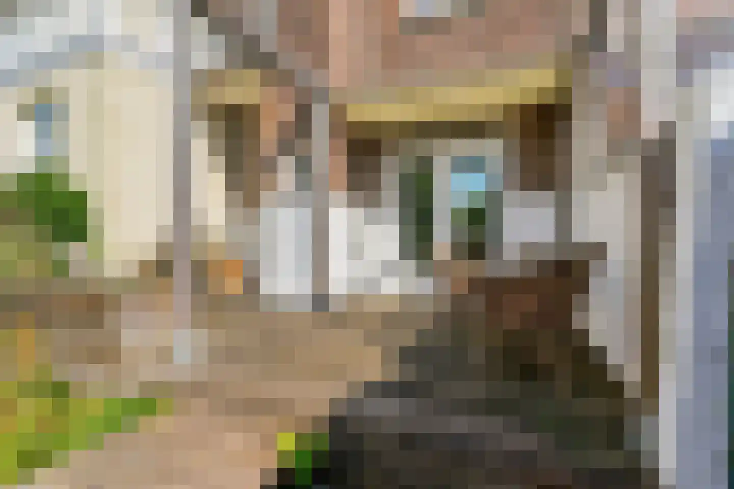 Dominicanenstraat 30 Nijmegen thumbnail 44
