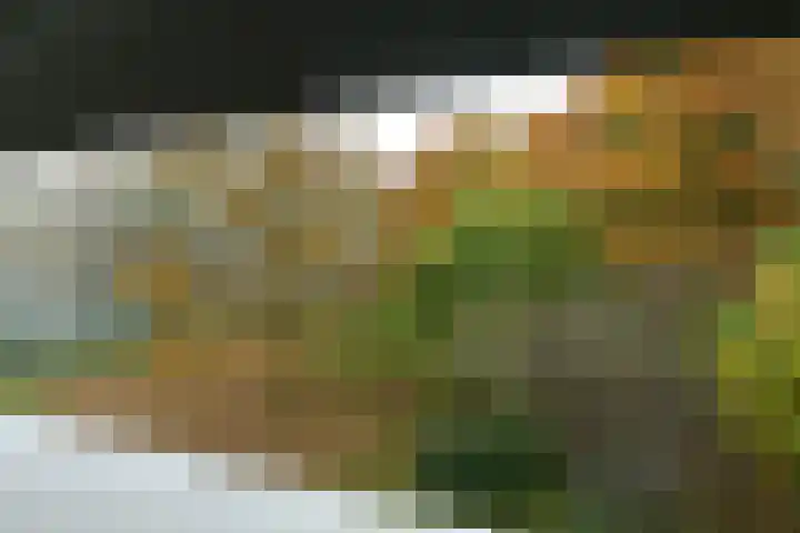 Dominicanenweg 17 Arnhem thumbnail 16