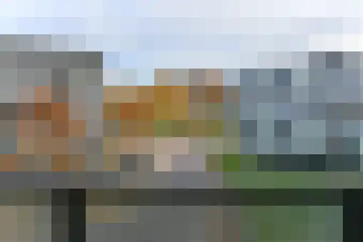 Dominicanenweg 17 Arnhem thumbnail 31