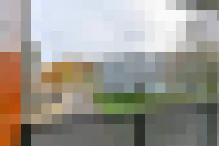 Dominicanenweg 17 Arnhem thumbnail 32