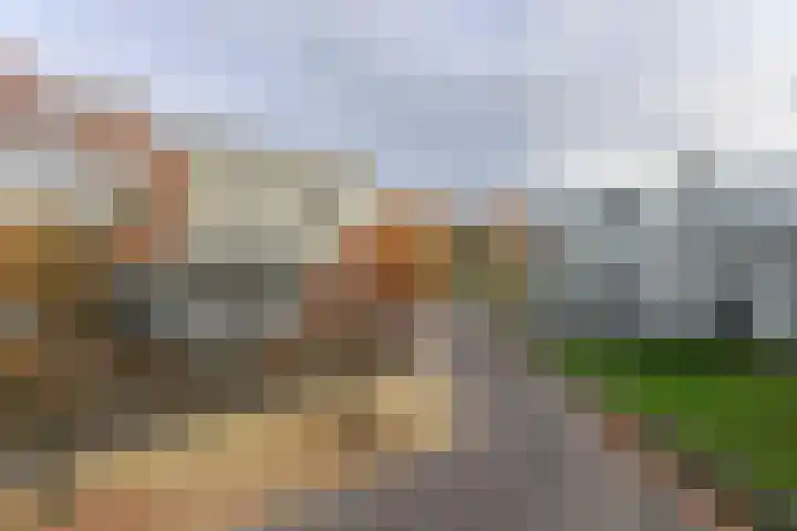 Dominicanenweg 17 Arnhem thumbnail 34