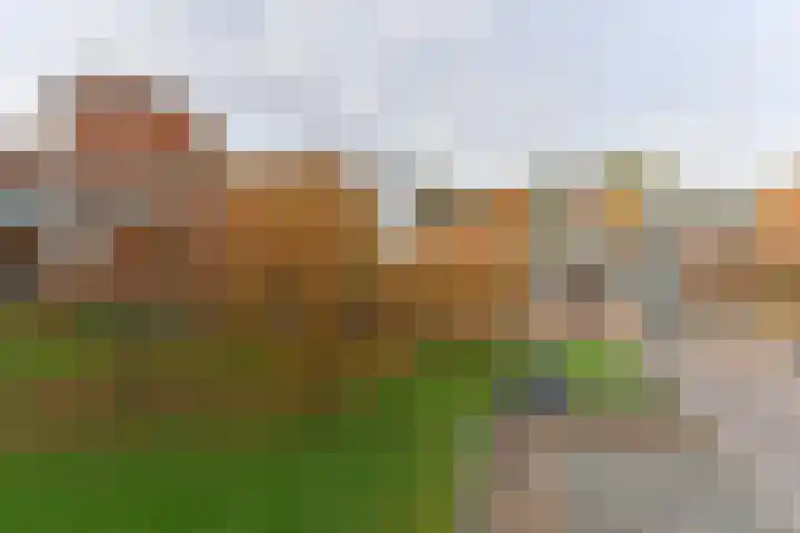 Dominicanenweg 17 Arnhem thumbnail 35