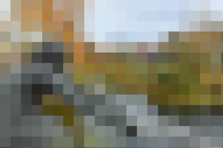 Dominicanenweg 17 Arnhem thumbnail 38