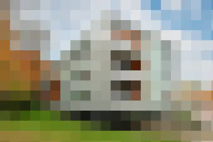 Dominicanenweg 17 Arnhem thumbnail 41