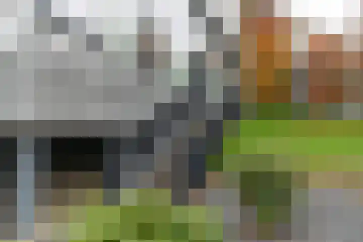 Dominicanenweg 17 Arnhem thumbnail 5