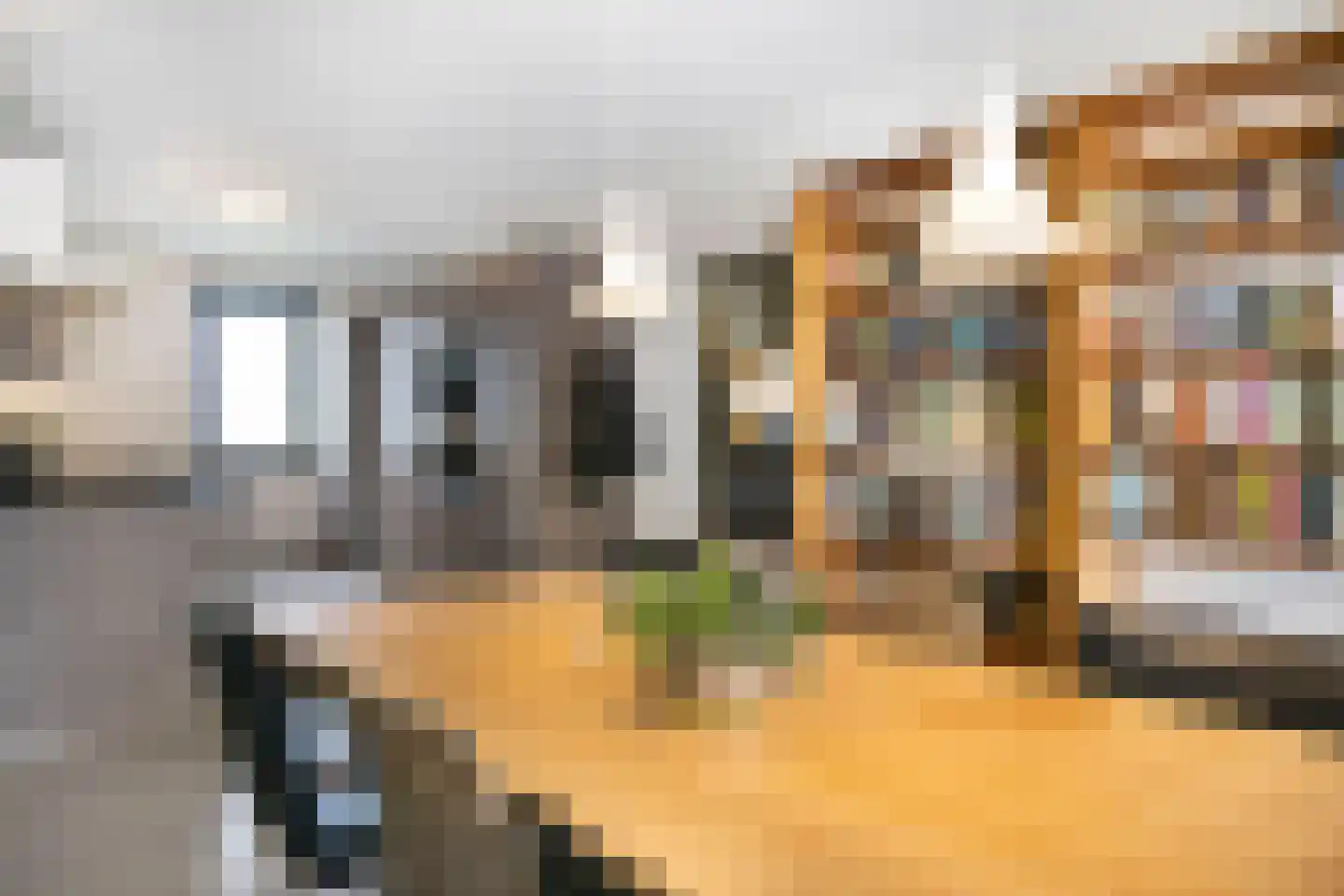 Dominicanenweg 47 Arnhem thumbnail 10