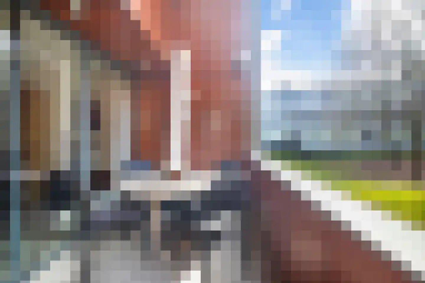 Dominicanenweg 47 Arnhem thumbnail 19