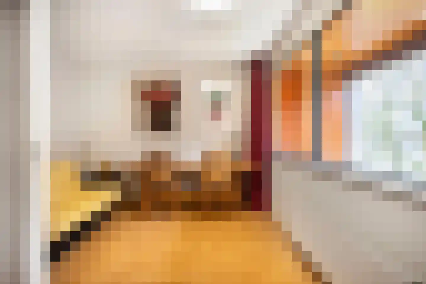 Dominicanenweg 47 Arnhem thumbnail 34