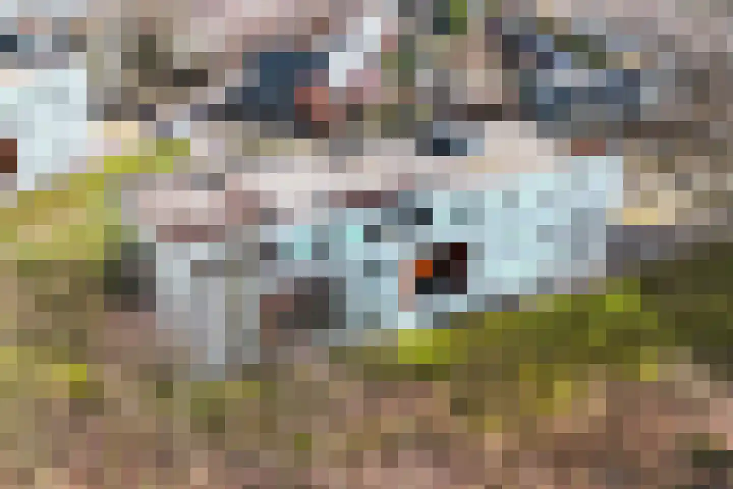 Dominicanenweg 47 Arnhem thumbnail 52