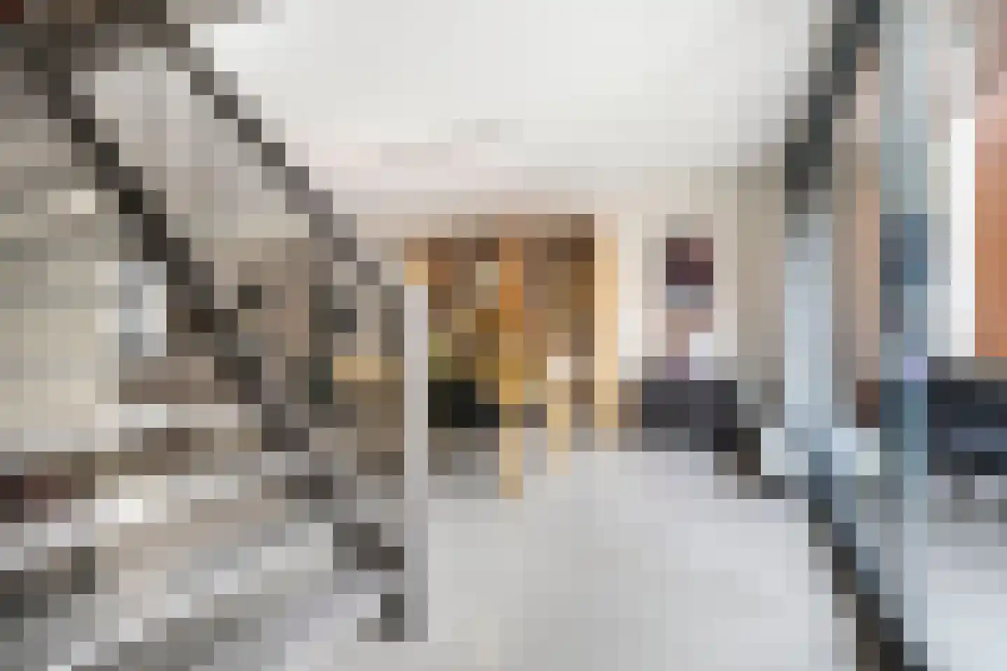 Dominicanenweg 47 Arnhem thumbnail 7