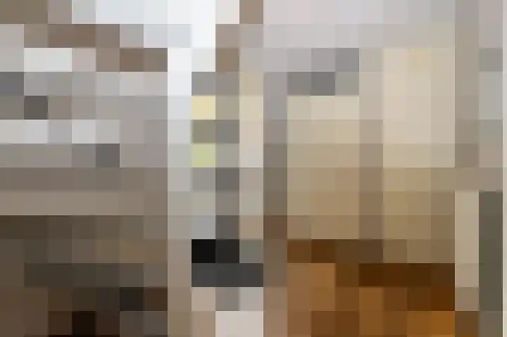 Dominicanessenstraat 7 Molenhoek thumbnail 12
