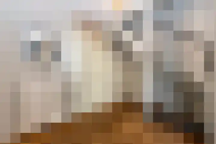 Dominicanessenstraat 7 Molenhoek thumbnail 13