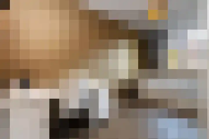 Dominicanessenstraat 7 Molenhoek thumbnail 19