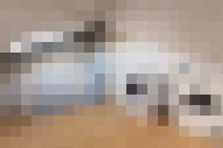 Dominicanessenstraat 7 Molenhoek thumbnail 23