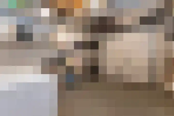 Dominicanessenstraat 7 Molenhoek thumbnail 24