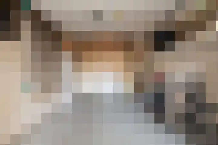 Dominicanessenstraat 7 Molenhoek thumbnail 25