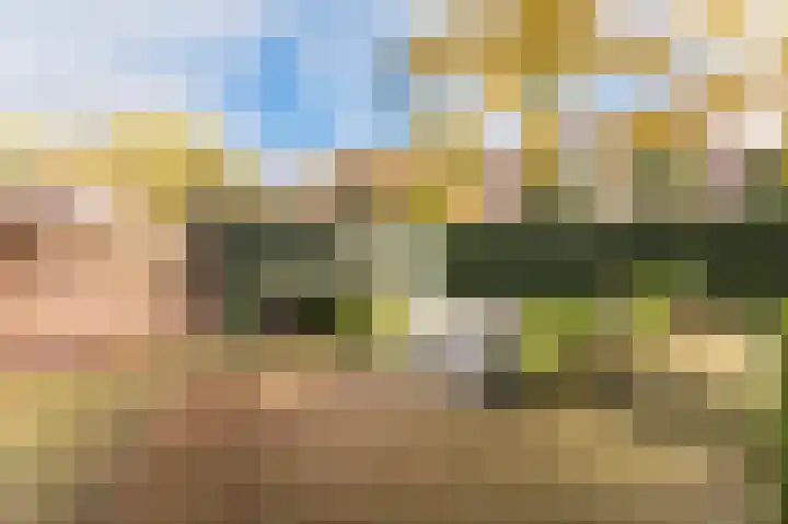 Dominicanessenstraat 7 Molenhoek thumbnail 26