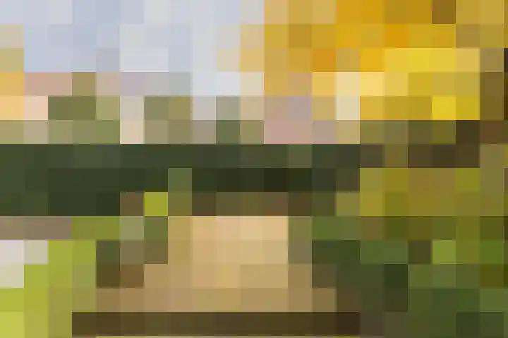 Dominicanessenstraat 7 Molenhoek thumbnail 28