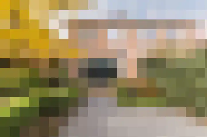 Dominicanessenstraat 7 Molenhoek thumbnail 30