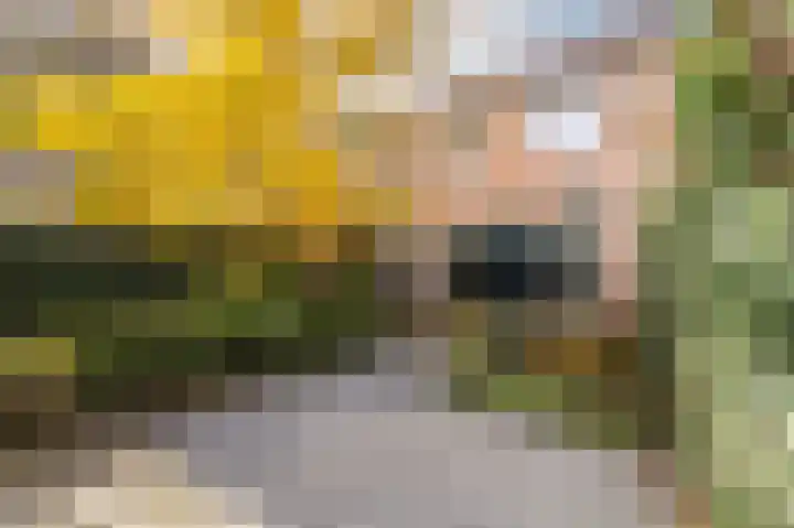 Dominicanessenstraat 7 Molenhoek thumbnail 31