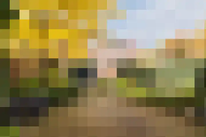 Dominicanessenstraat 7 Molenhoek thumbnail 32