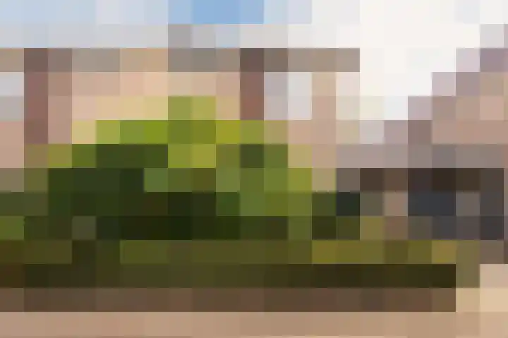 Dominicanessenstraat 7 Molenhoek thumbnail 33