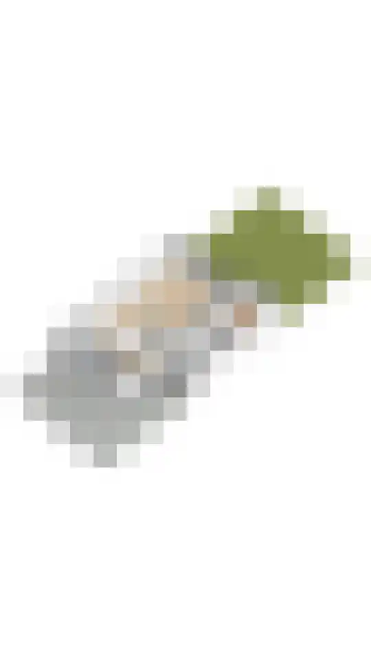 Dominicanessenstraat 7 Molenhoek thumbnail 39