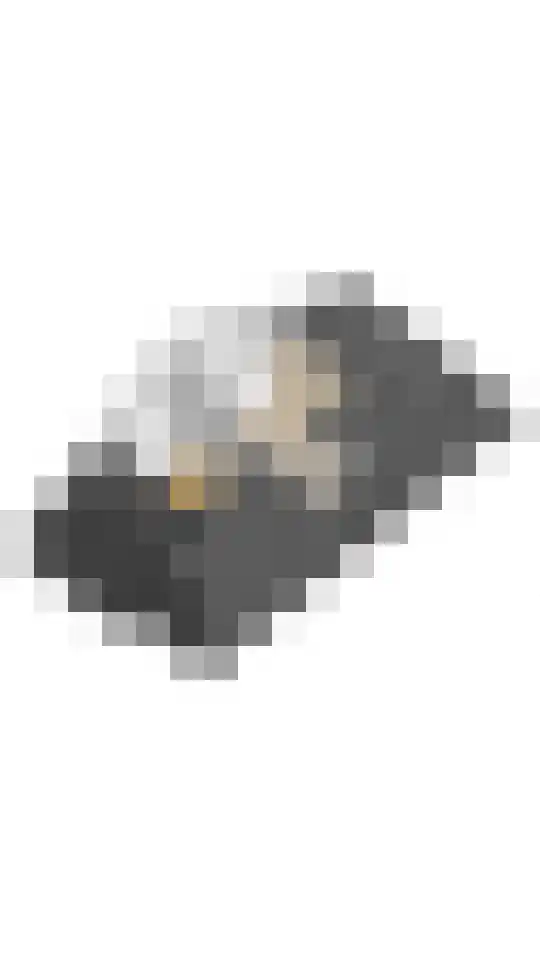 Dominicanessenstraat 7 Molenhoek thumbnail 43