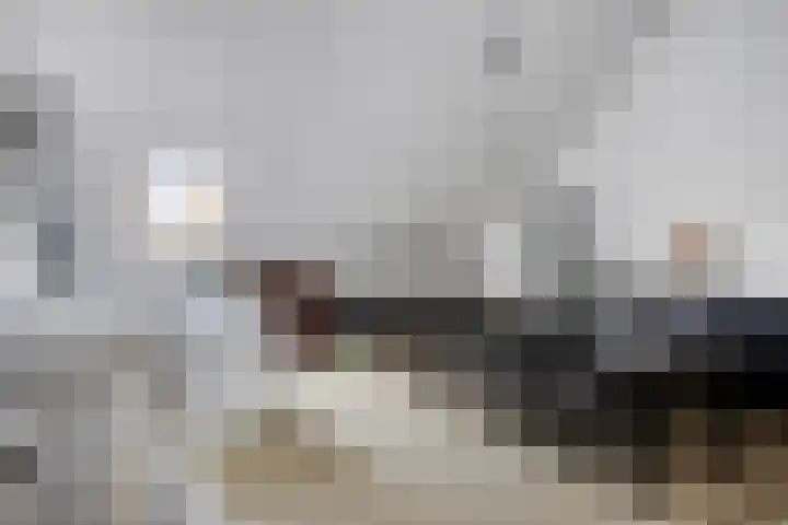 Dominicus van Ophovenstraat 18 Veghel thumbnail 23