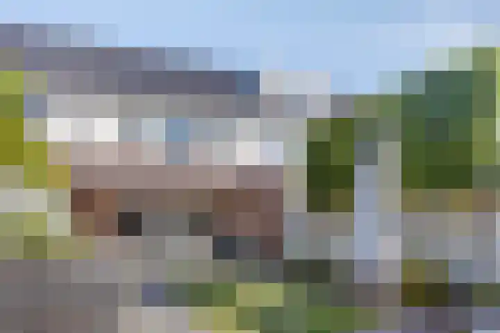 Dominicus van Ophovenstraat 18 Veghel thumbnail 25
