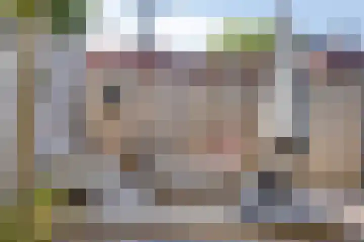 Dominicus van Ophovenstraat 18 Veghel thumbnail 30