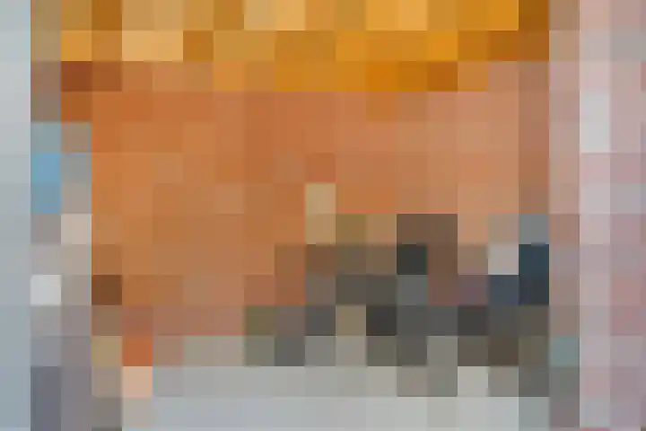Dominicus van Ophovenstraat 18 Veghel thumbnail 31