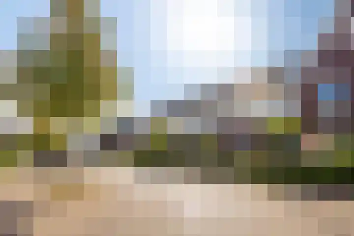 Dominicus van Ophovenstraat 18 Veghel thumbnail 32