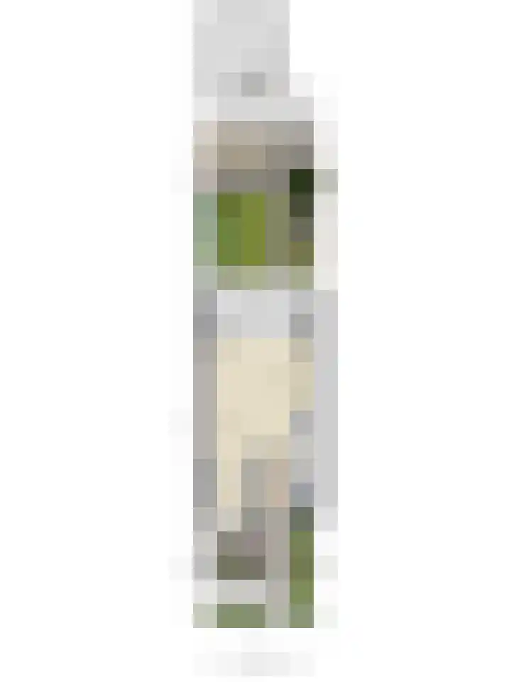 Dominicus van Ophovenstraat 18 Veghel thumbnail 34