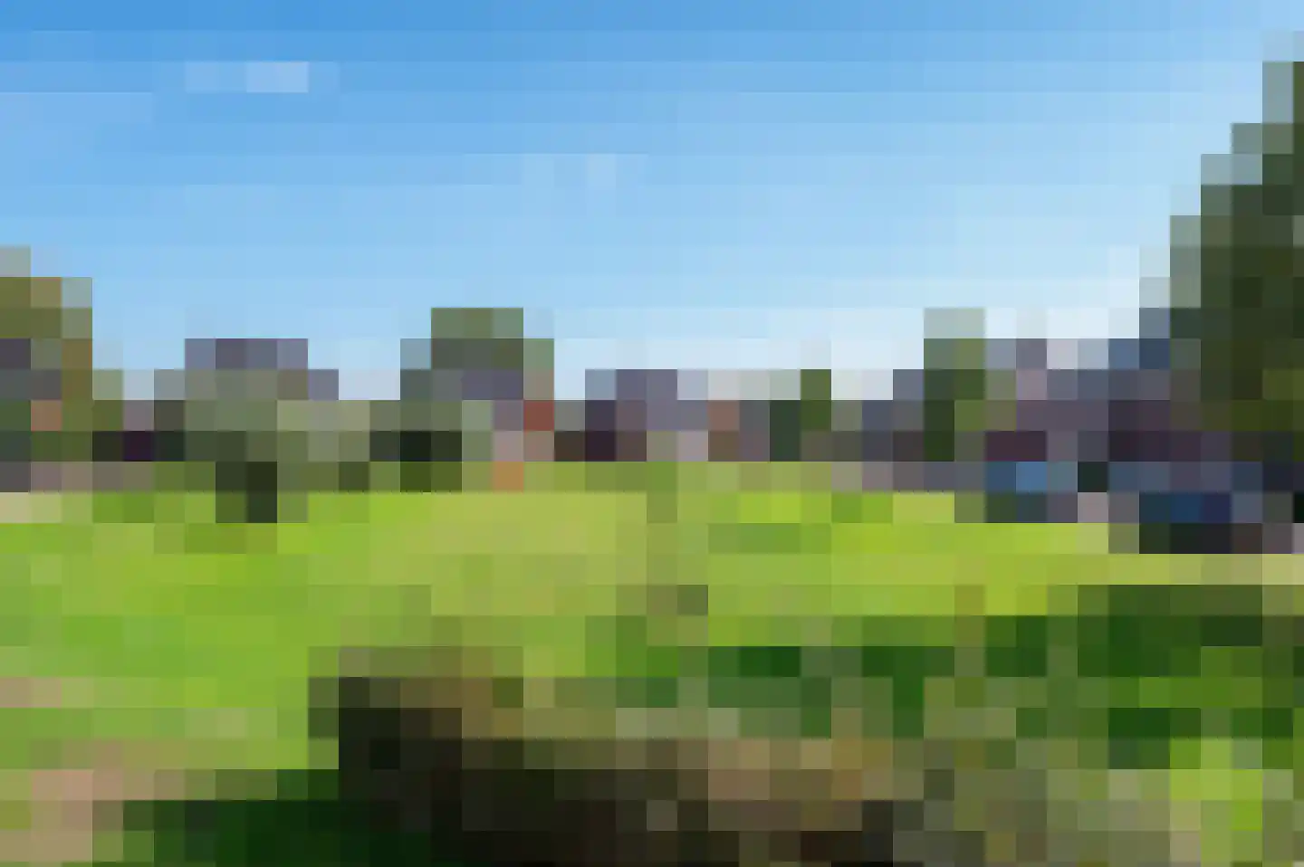 Dominicus van Ophovenstraat 40 Veghel thumbnail 52