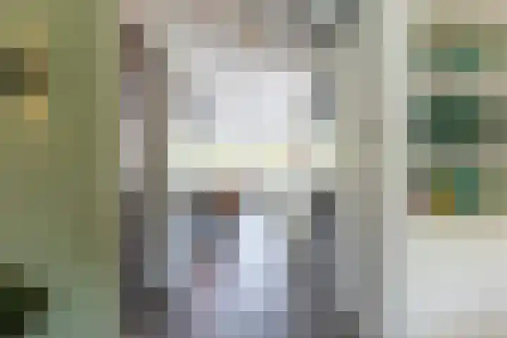 Dominicus van Ophovenstraat 54 Veghel thumbnail 15