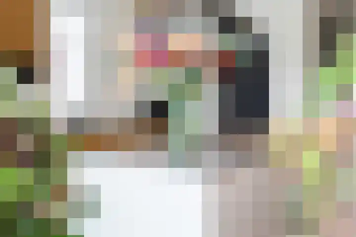 Dominicus van Ophovenstraat 54 Veghel thumbnail 18