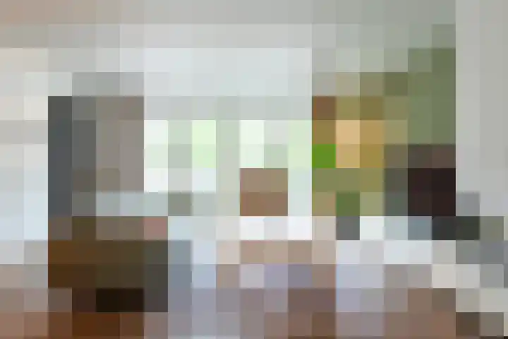 Dominicus van Ophovenstraat 54 Veghel thumbnail 21