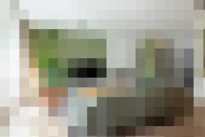 Dominicus van Ophovenstraat 54 Veghel thumbnail 23