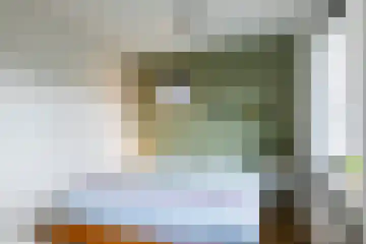 Dominicus van Ophovenstraat 54 Veghel thumbnail 34
