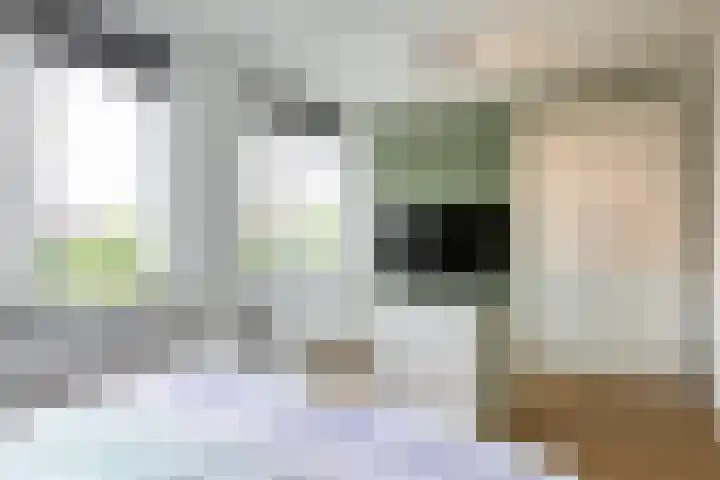 Dominicus van Ophovenstraat 54 Veghel thumbnail 35