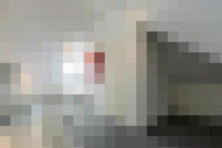 Dominicus van Ophovenstraat 54 Veghel thumbnail 39