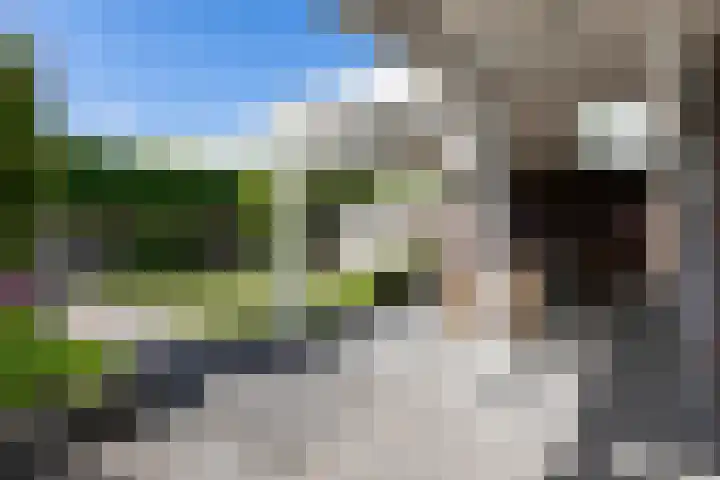 Dominicus van Ophovenstraat 54 Veghel thumbnail 43