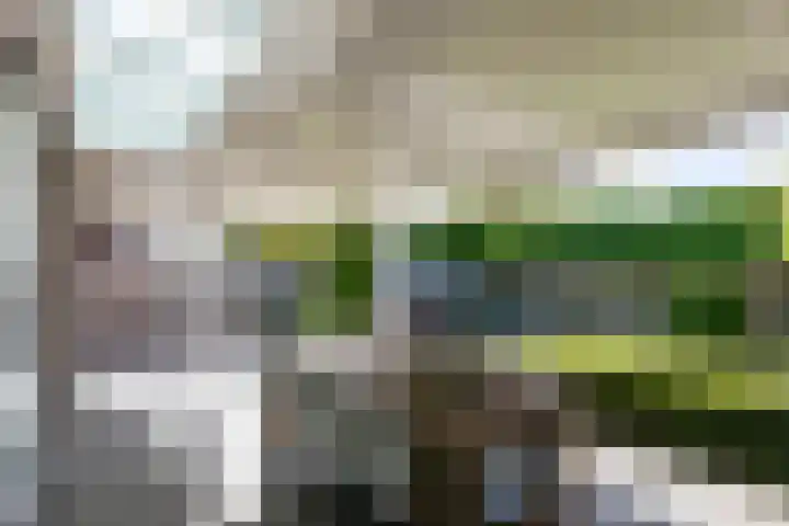 Dominicus van Ophovenstraat 54 Veghel thumbnail 44