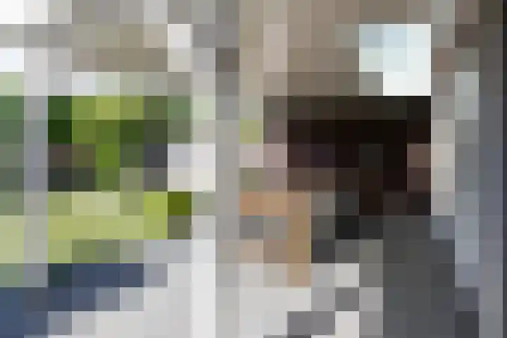 Dominicus van Ophovenstraat 54 Veghel thumbnail 45